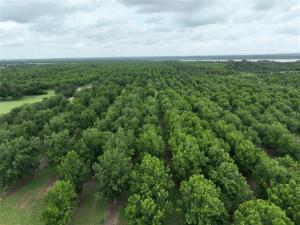 MLS #21336387 image #0