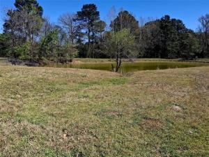 MLS #21229818 image #0