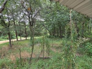 MLS #21341578 image #0