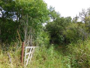 MLS #21341651 image #0