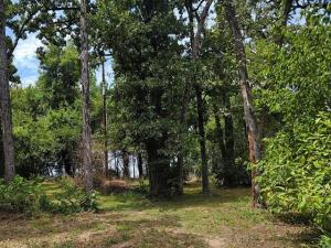 MLS #21347222 image #0