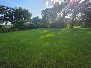 MLS #21349879 image #0