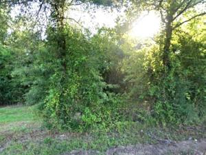 MLS #21352568 image #0