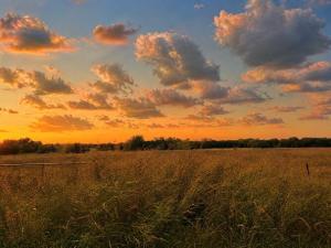 MLS #21355179 image #0