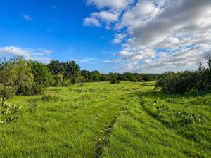 MLS #21360355 image #0
