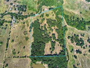 MLS #21363908 image #0