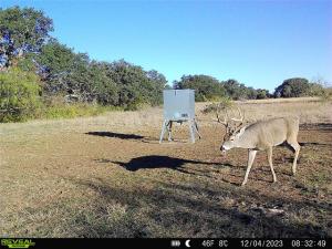 MLS #21365459 image #0