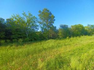 MLS #21368050 image #0