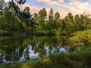 MLS #21368752 image #0