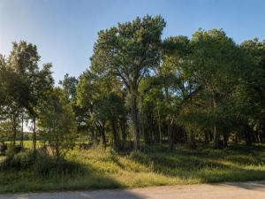 MLS #21369352 image #0