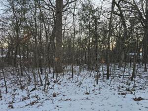 MLS #21369835 image #0