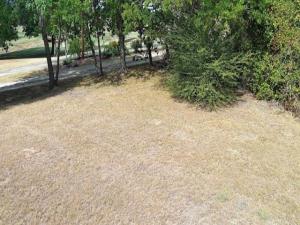 MLS #21369849 image #0
