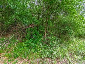 MLS #21371224 image #0