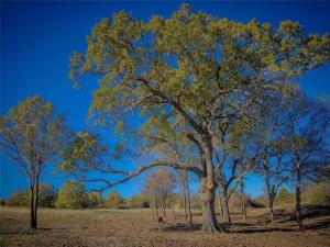 MLS #21371790 image #0