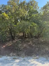 broker reciprocity