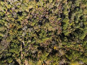 MLS #21380785 image #0