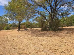 MLS #21380815 image #0