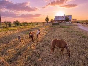 MLS #21383616 image #0