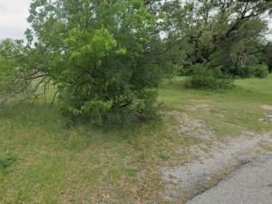 MLS #21384646 image #0