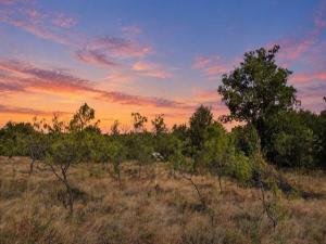 MLS #21387422 image #0