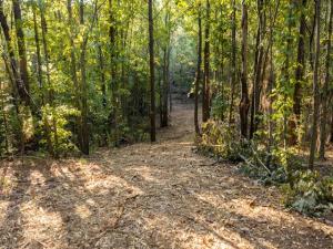 MLS #21389056 image #0