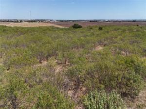 MLS #21391819 image #0