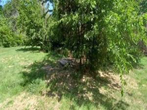 MLS #21393641 image #0