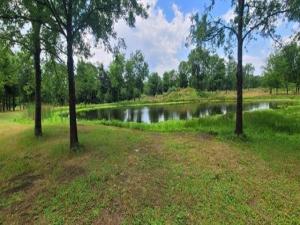MLS #21395616 image #0