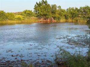 MLS #21397543 image #0