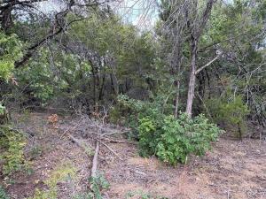 MLS #21399095 image #0