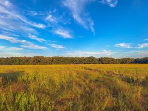 MLS #21399565 image #0