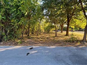 MLS #21400188 image #0