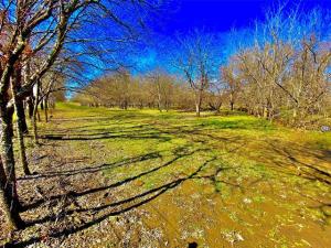 MLS #21400573 image #0