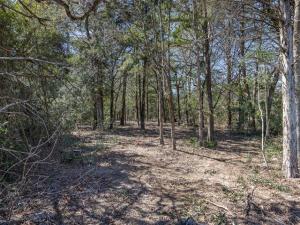 MLS #21402701 image #0