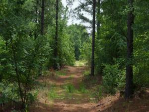 MLS #21403895 image #0