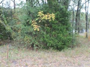 MLS #21404654 image #0