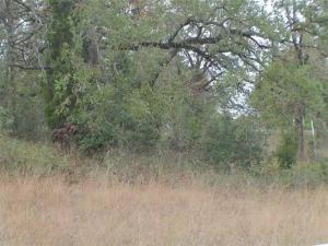 MLS #21404975 image #0