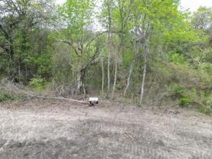 MLS #21409185 image #0