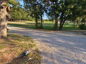 MLS #21409984 image #0